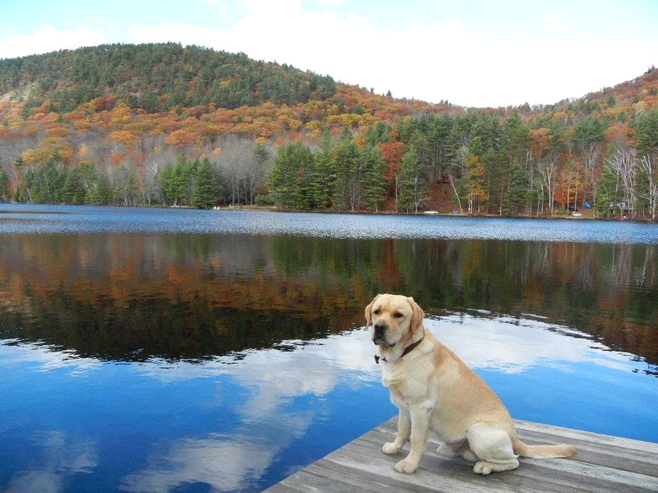 Lovely Lakeside Cabin Rental near Pharaoh Lake Wilderness Area in New York