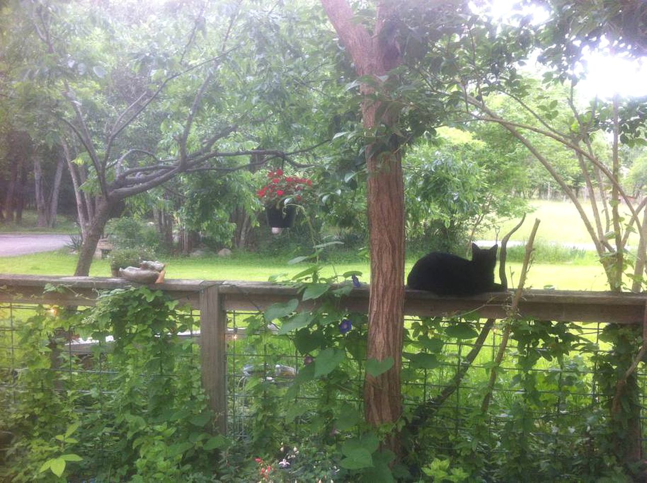 Rustic Cabin Getaway with a Huge Patio near Beautiful Austin, Texas