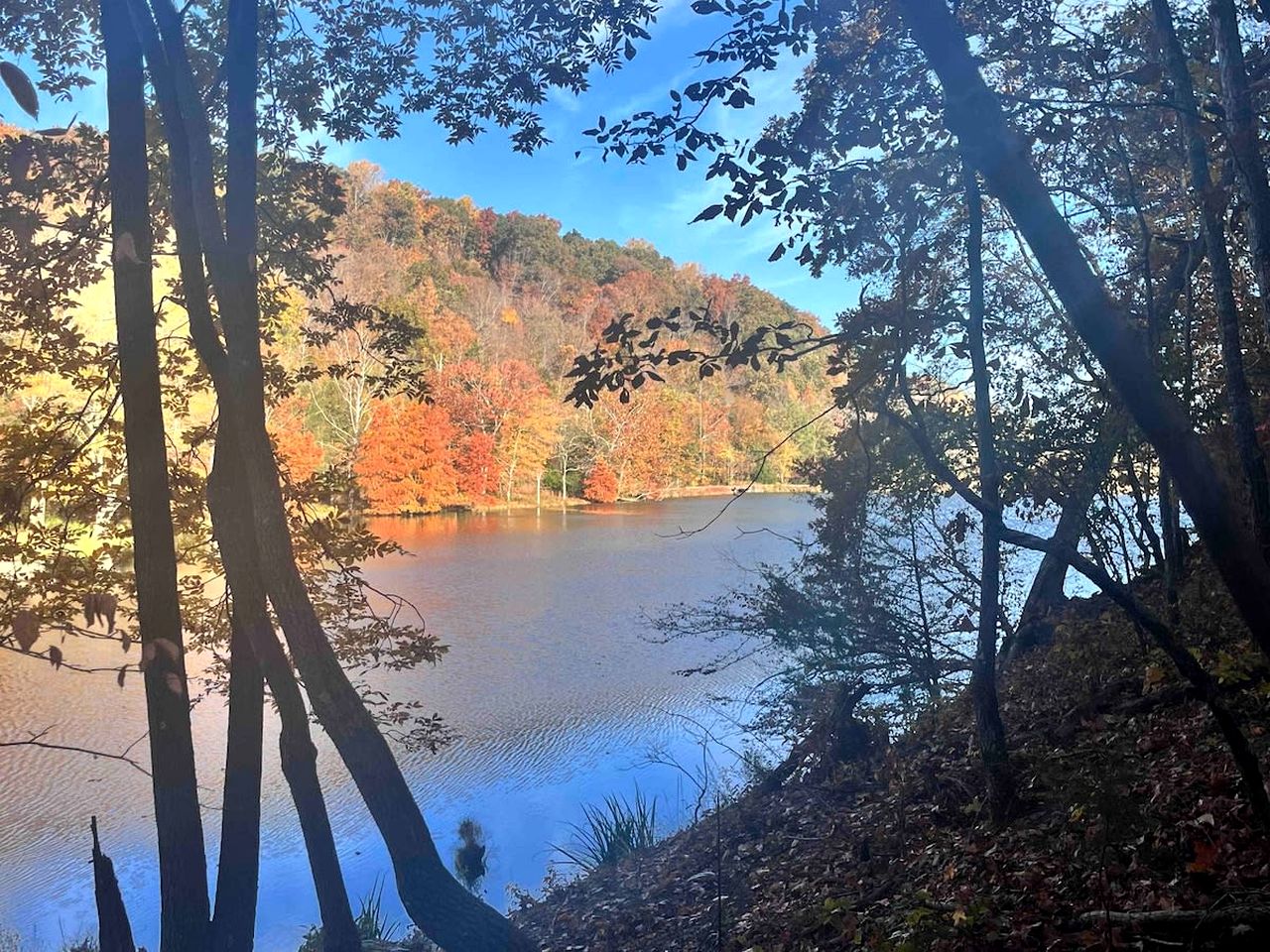 Breathtaking Cabin with Hot-tub in Franklin, Tennessee