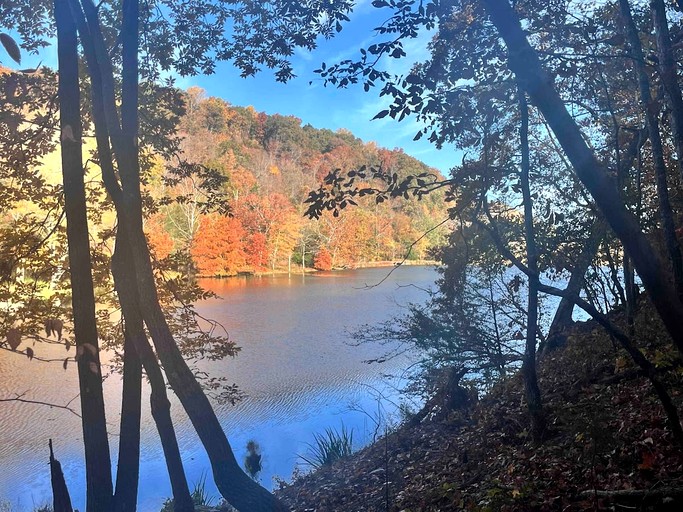 Cabins (United States of America, Franklin, Tennessee)