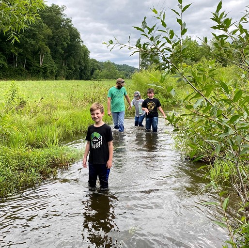 Cabins (United States of America, Franklin, Tennessee)