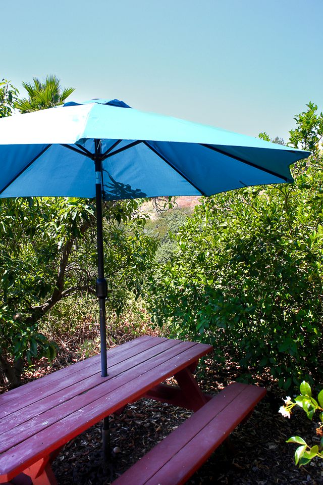 Pet Friendly Breathtaking Cottage with Great Views and Hot-tub in Rainbow, California