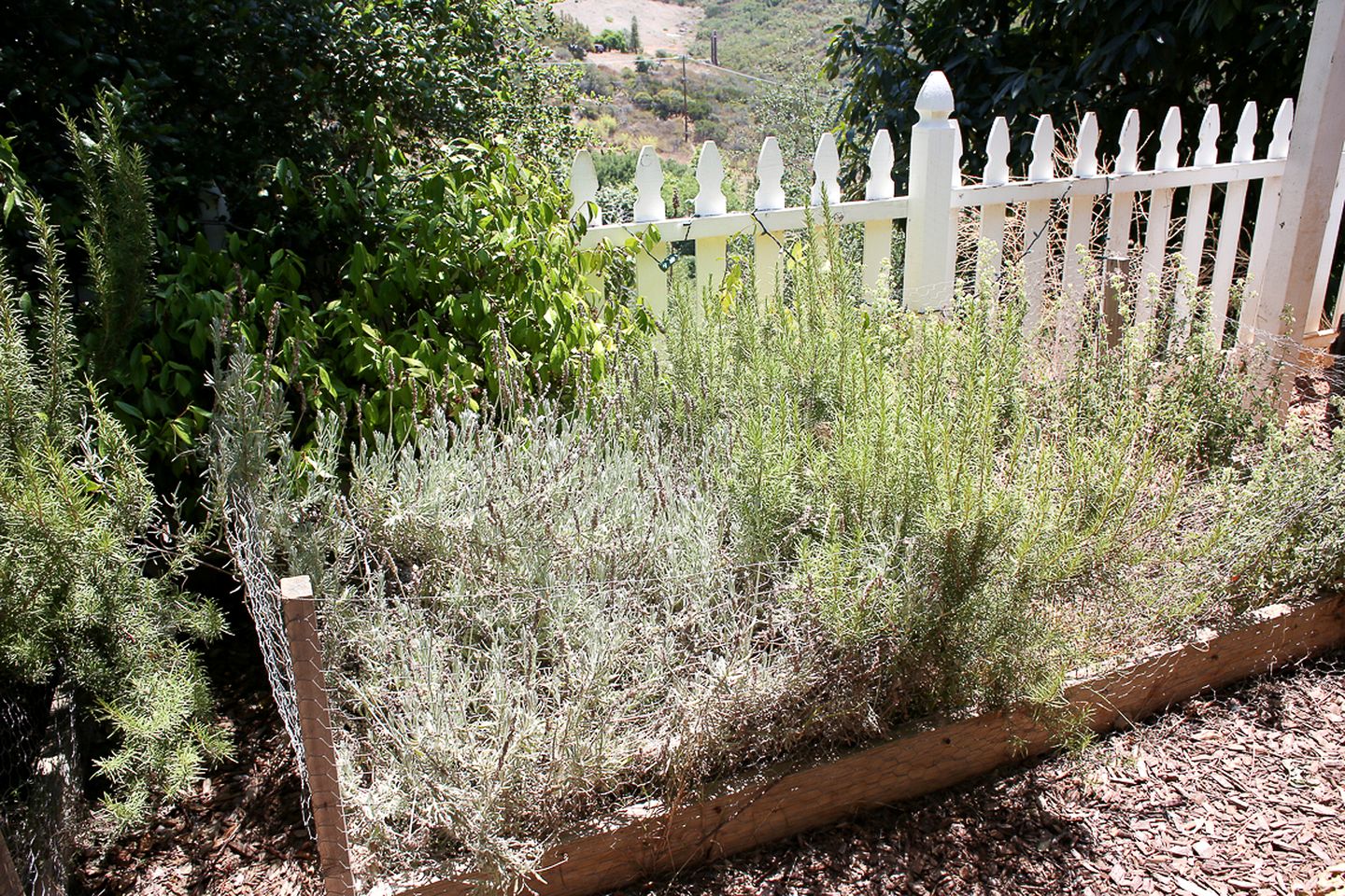 Pet Friendly Breathtaking Cottage with Great Views and Hot-tub in Rainbow, California
