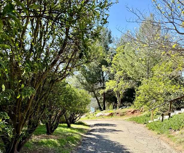 Cottages (United States of America, Fallbrook, California)