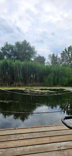 Floating Homes (Canada, Île-aux-Noix,, Quebec)