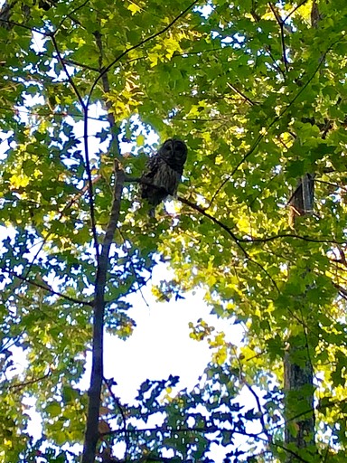 Floating Homes (United States of America, Monmouth, Maine)