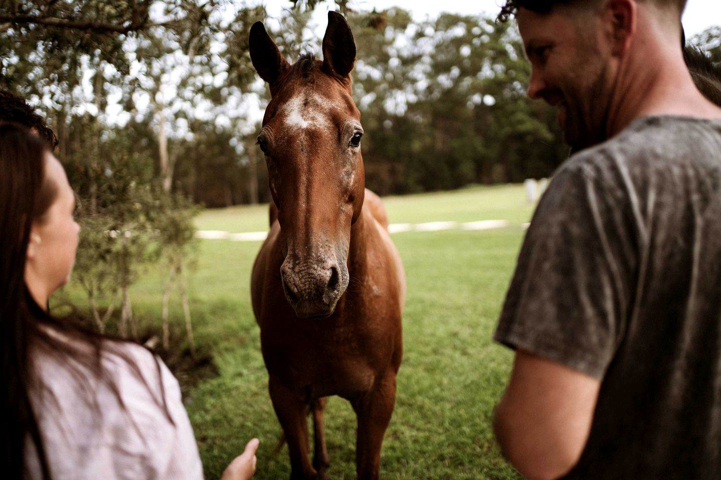 Breathtaking Tiny House Close to Great Hiking Trails in Coffs Harbour, New South Wales