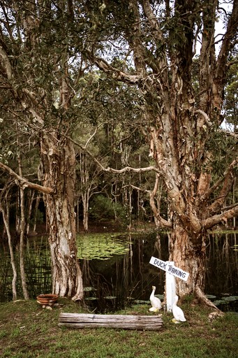 Tiny Houses (Australia, Coffs Harbour, New South Wales)