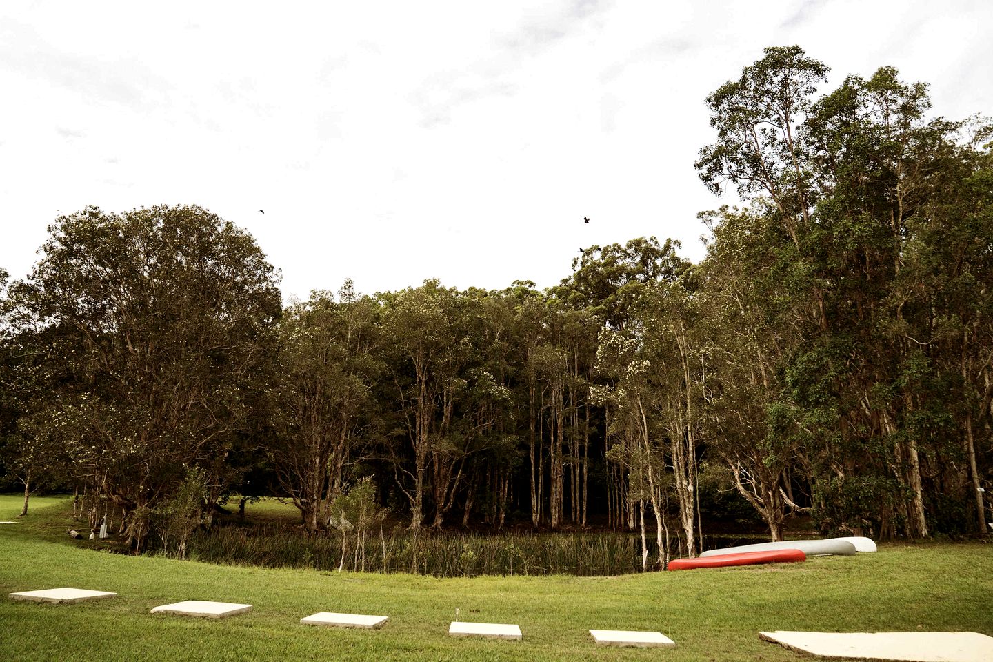 Breathtaking Tiny House Close to Great Hiking Trails in Coffs Harbour, New South Wales