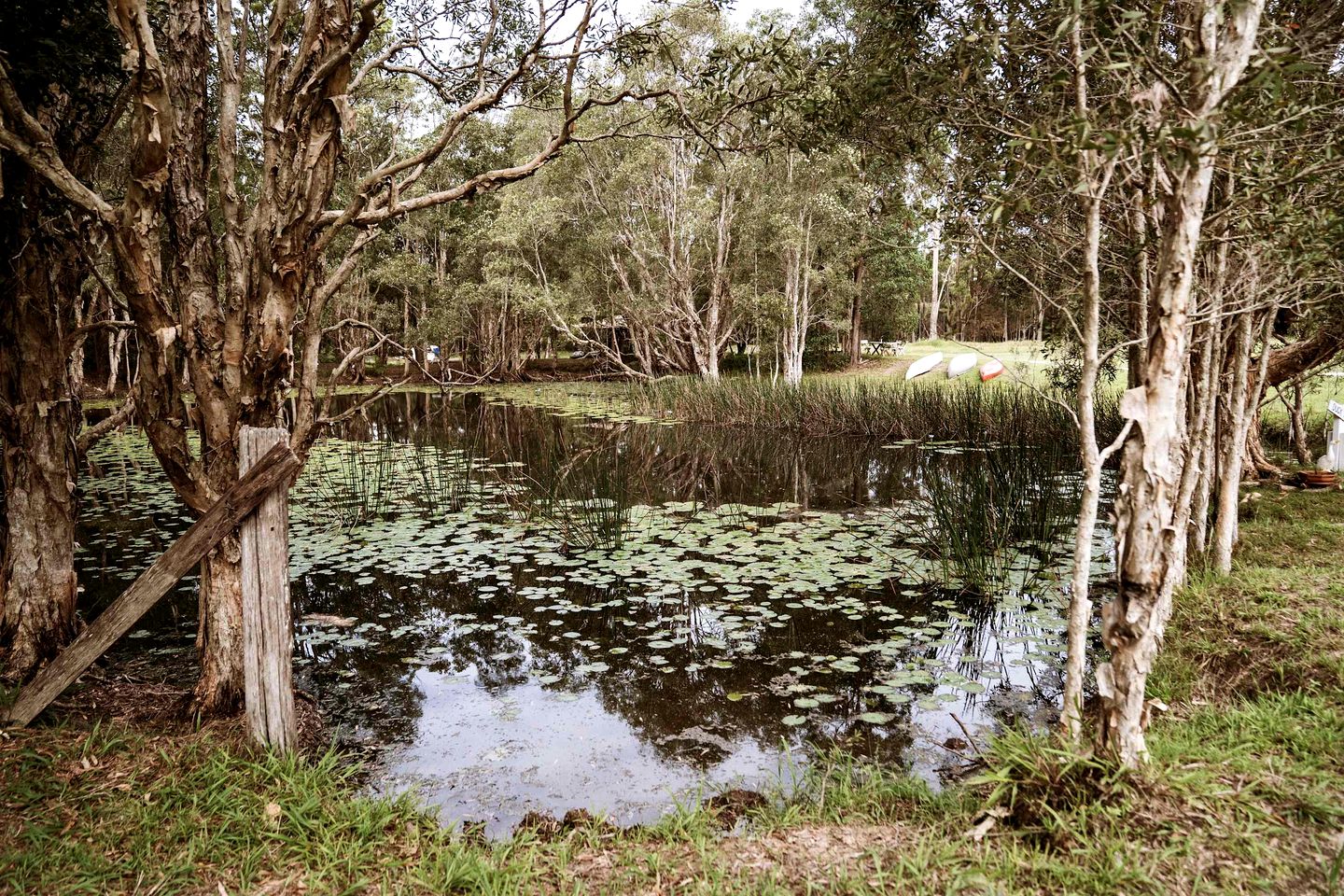Breathtaking Tiny House Close to Great Hiking Trails in Coffs Harbour, New South Wales