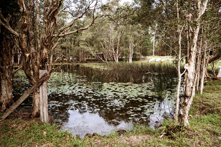 Tiny Houses (Australia, Coffs Harbour, New South Wales)