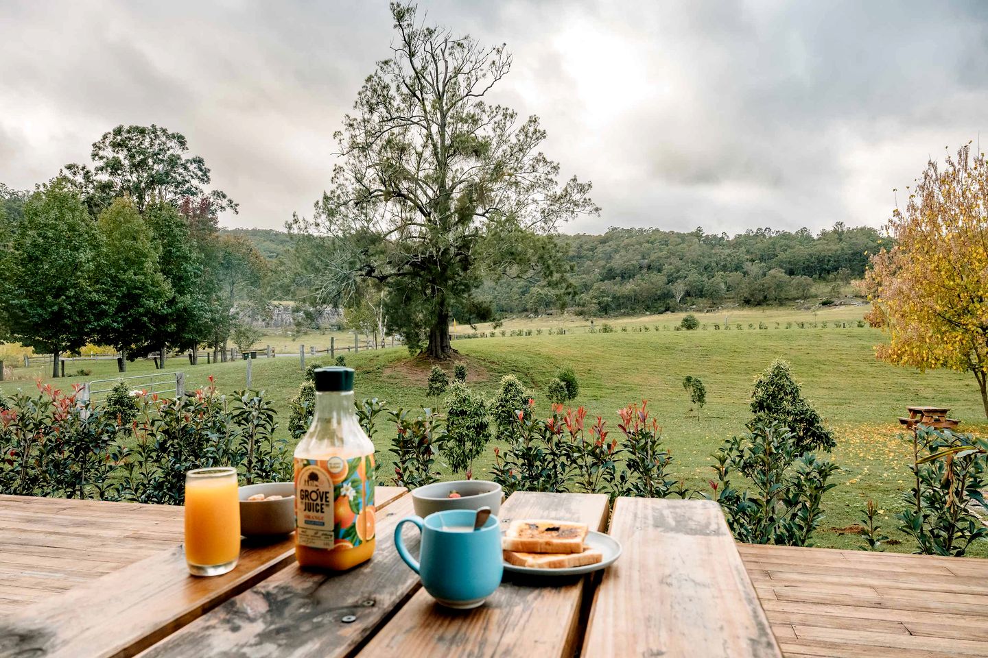 The Wollombi Wanderer in New South Wales, Australia