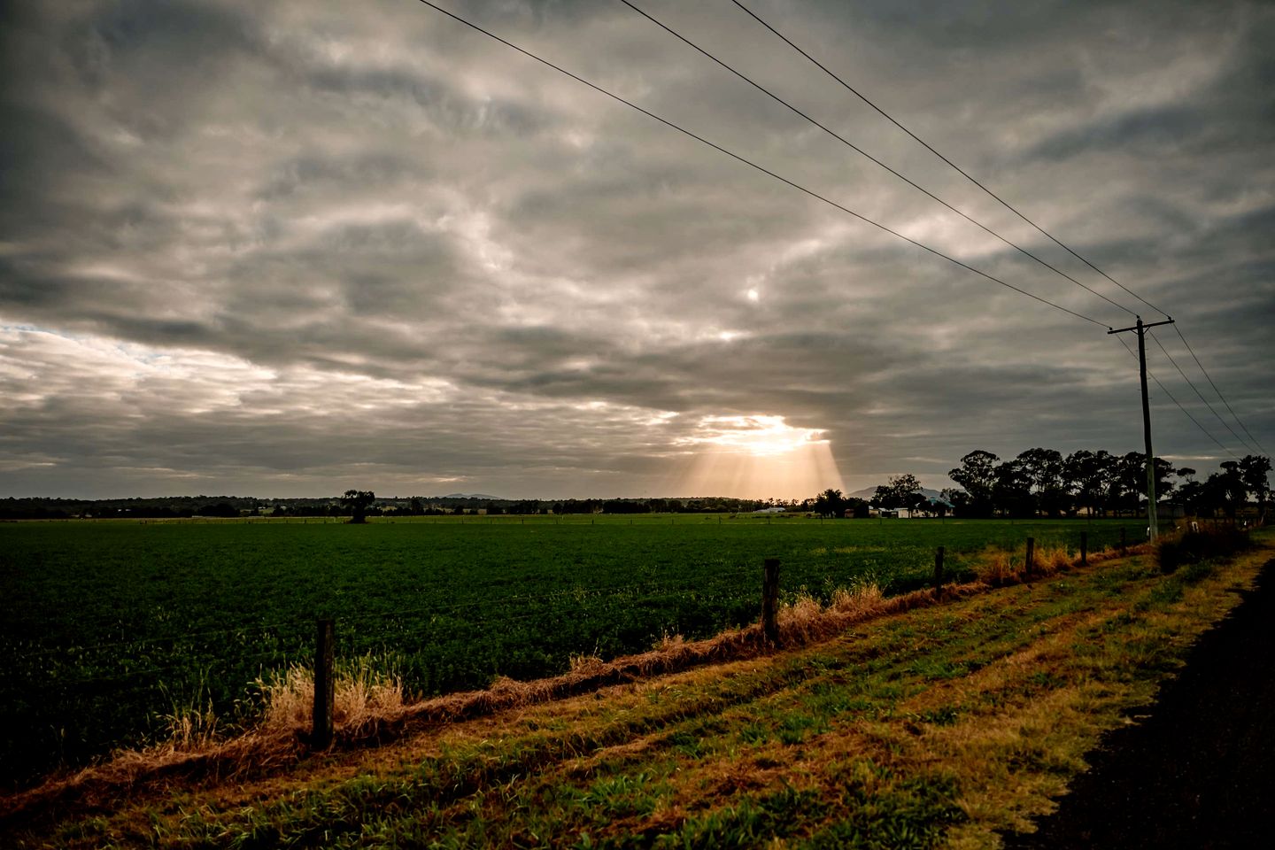 The Wollombi Wanderer in New South Wales, Australia