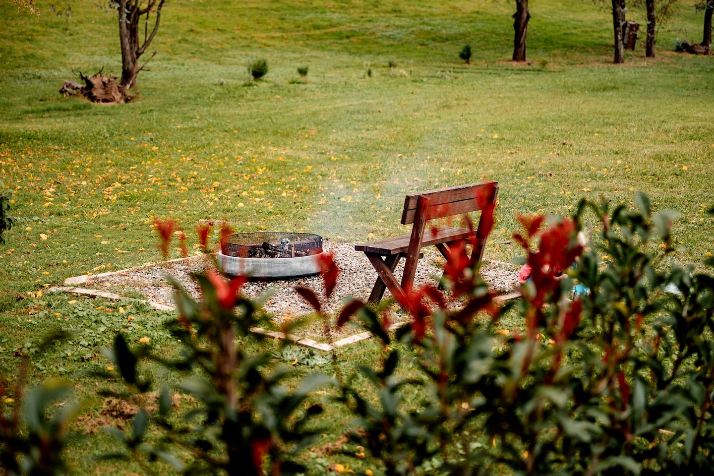 The Wollombi Wanderer in New South Wales, Australia