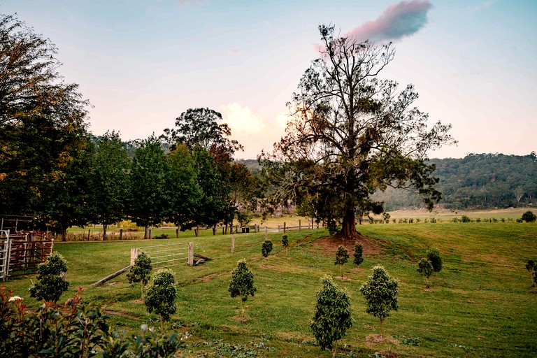 Tiny Houses (Australia, Wollombi, New South Wales)