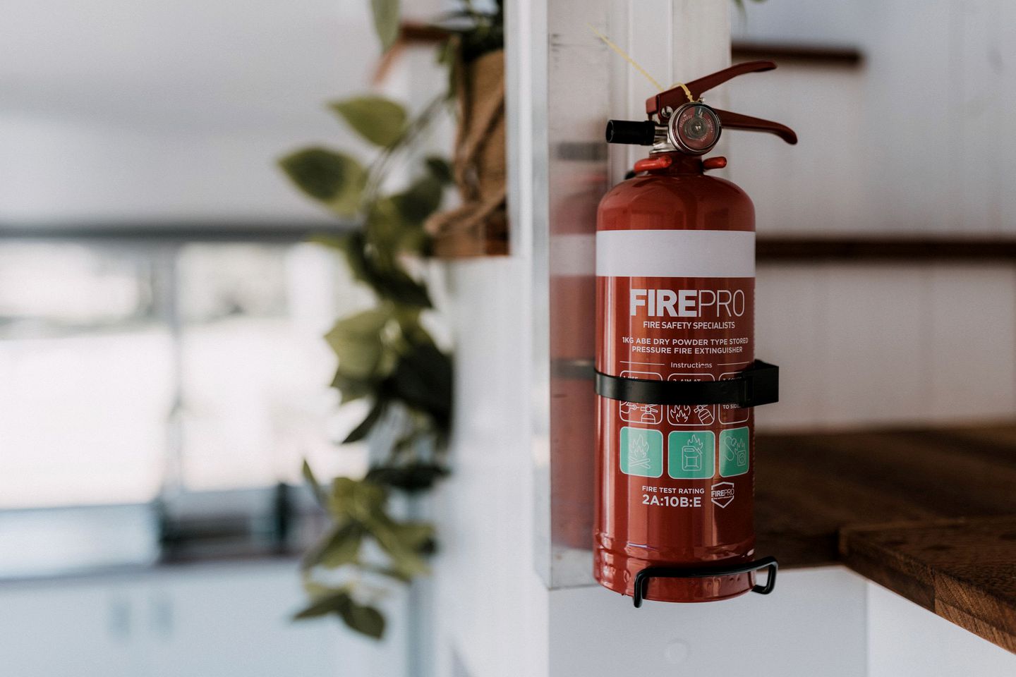 The Wollombi Wanderer in New South Wales, Australia