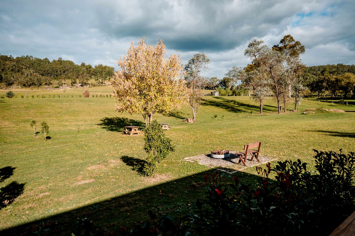 The Wollombi Wanderer in New South Wales, Australia