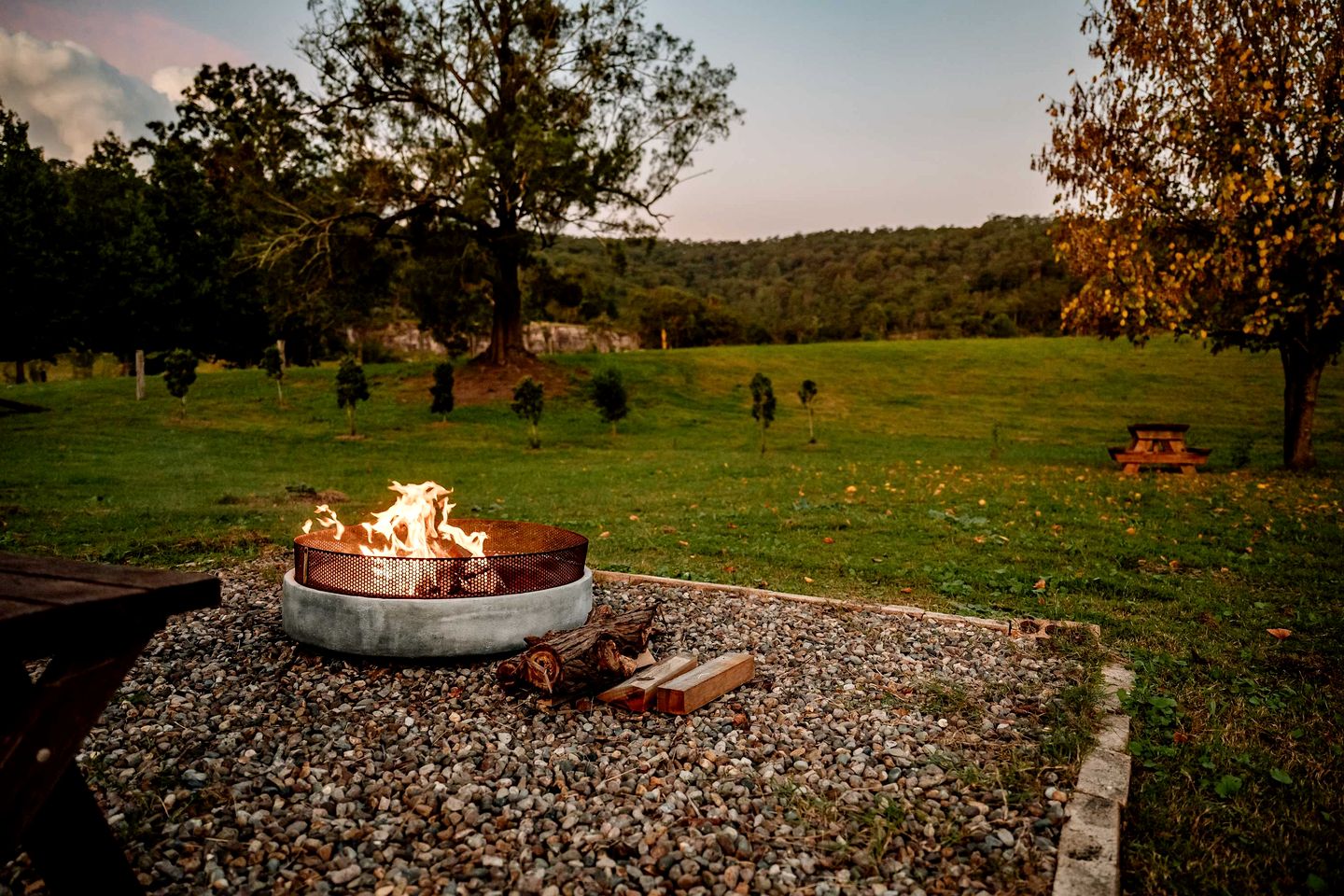The Wollombi Wanderer in New South Wales, Australia
