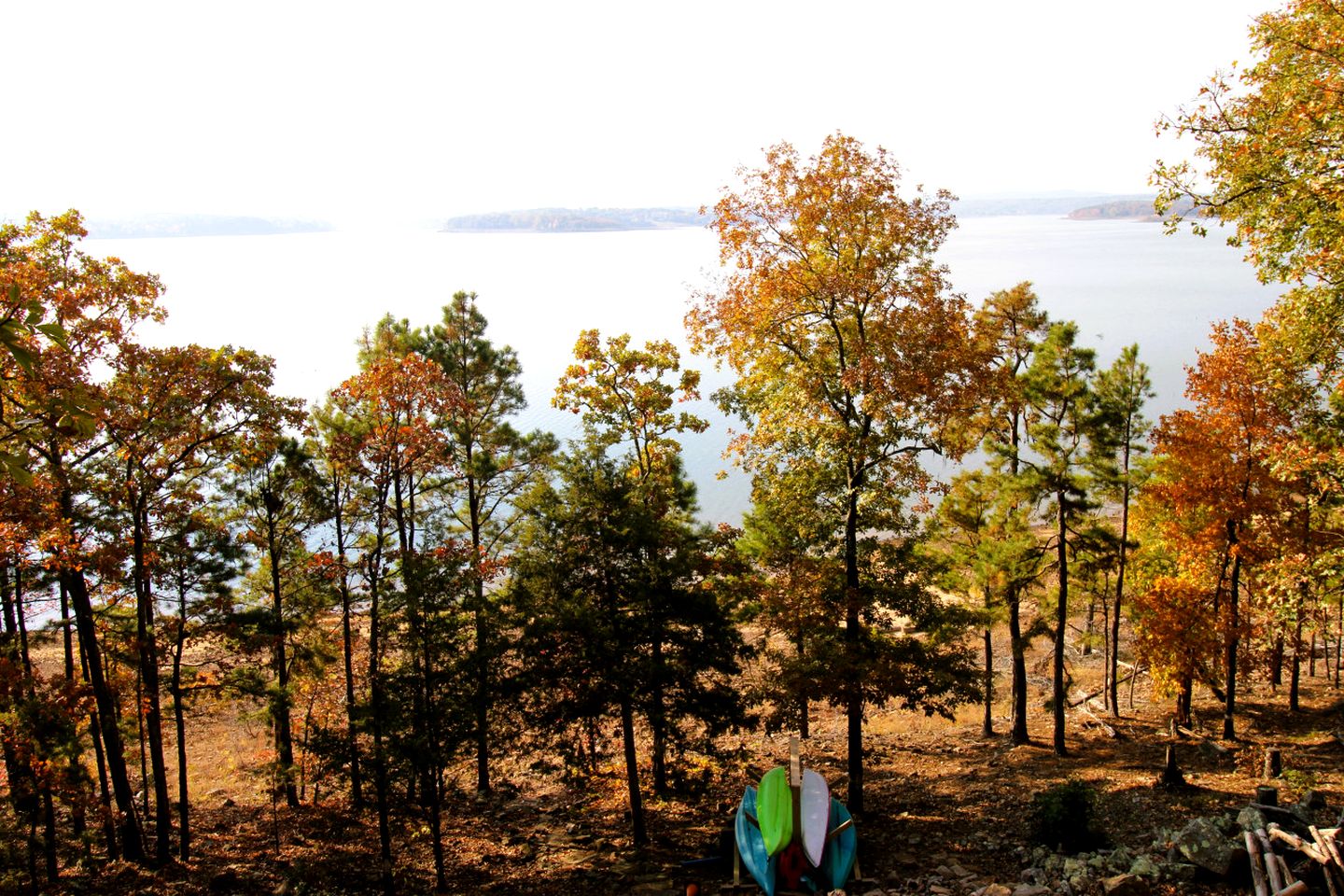 Breathtaking Wooden Cabin with Great Sights in Edgemont, Arkansas