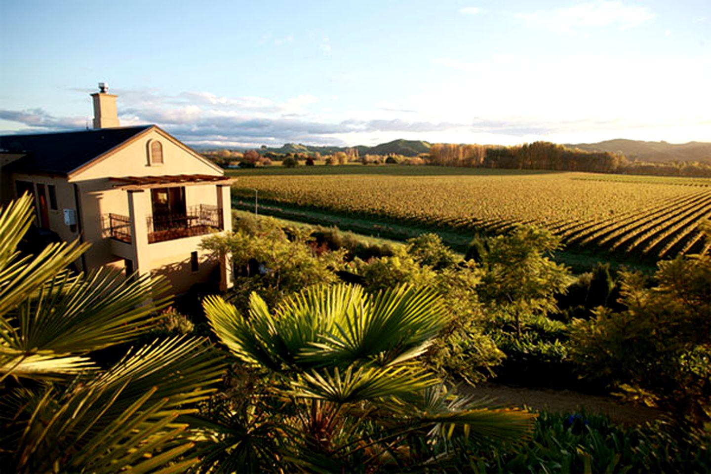 Stylish Suite Accommodation in Luxury Lodge near Napier, Hawke's Bay