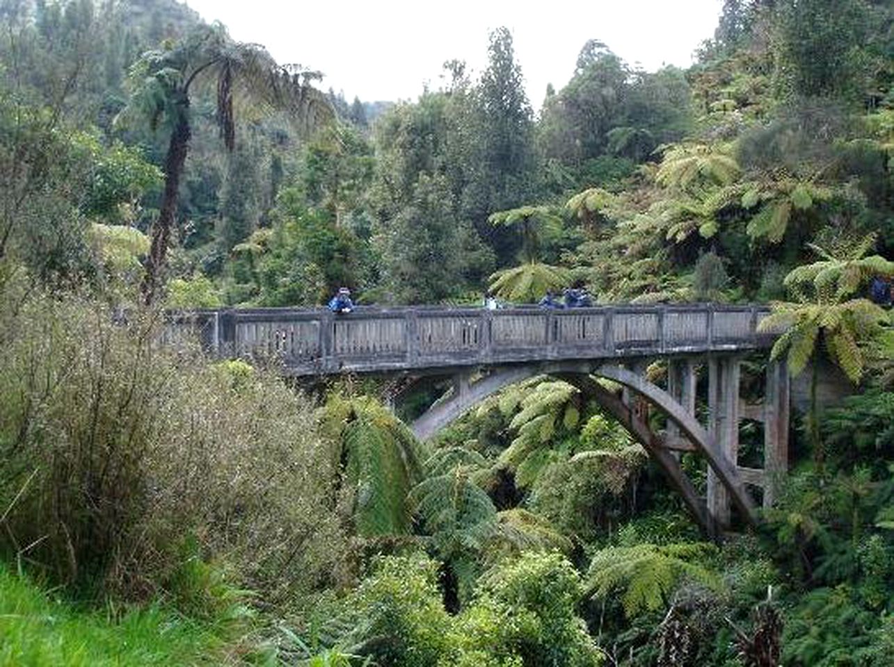 Beautiful Rental with Amazing Views in Whanganui National Park, New Zealand