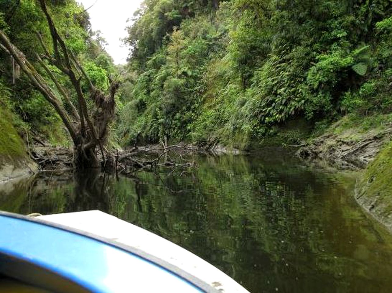 Awesome Rental Close to Activities near Whanganui, New Zealand