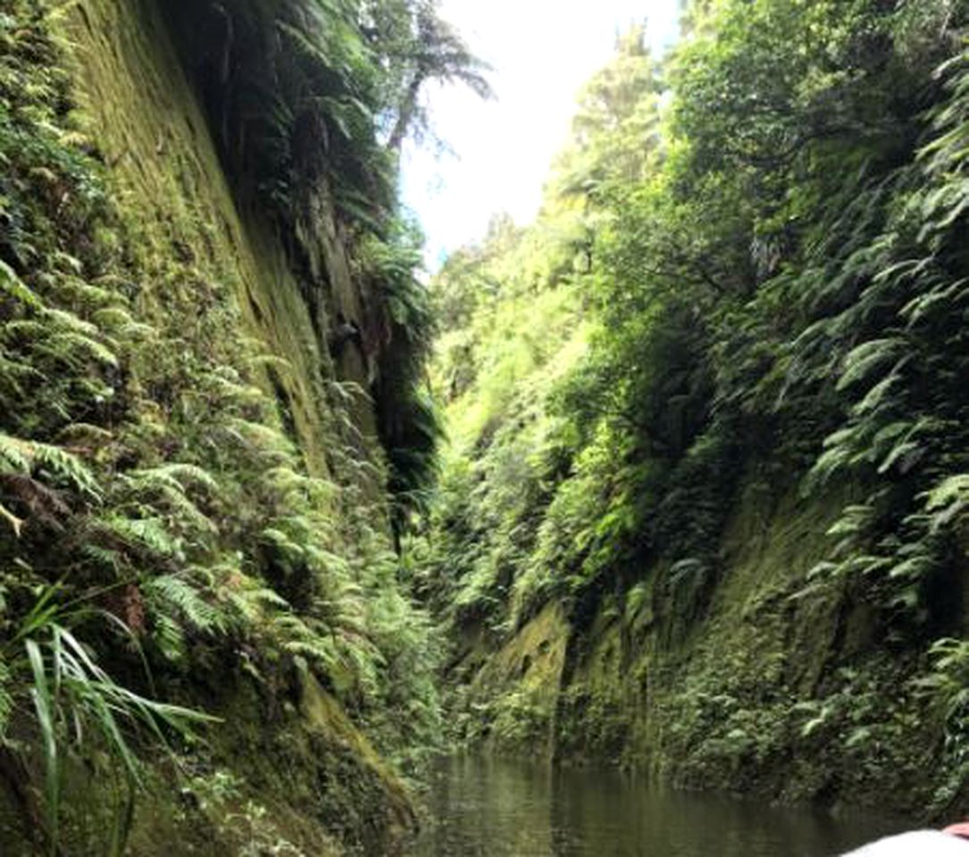 Charming Getaway Close to Biking and Hiking near Whanganui, New Zealand