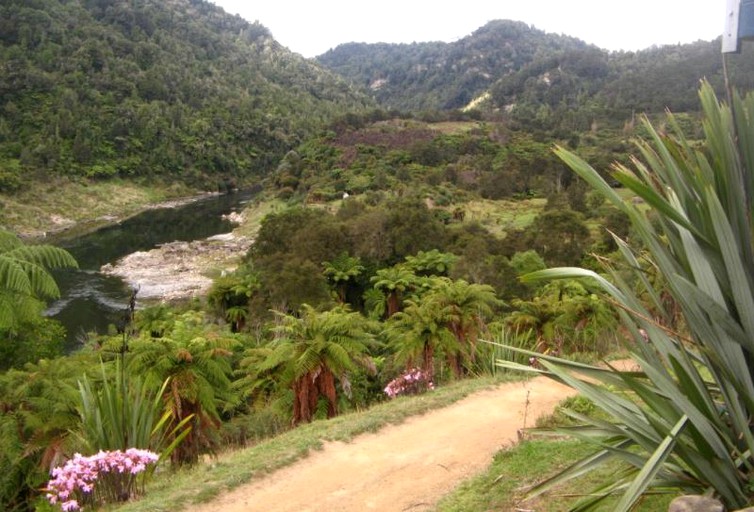 Nature Lodges (Epsom, North Island, New Zealand)