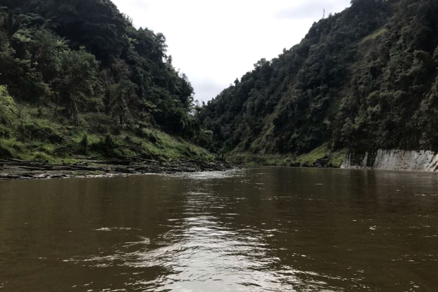 Cozy Getaway Perfect for Solo Travelers on Whanganui River, New Zealand