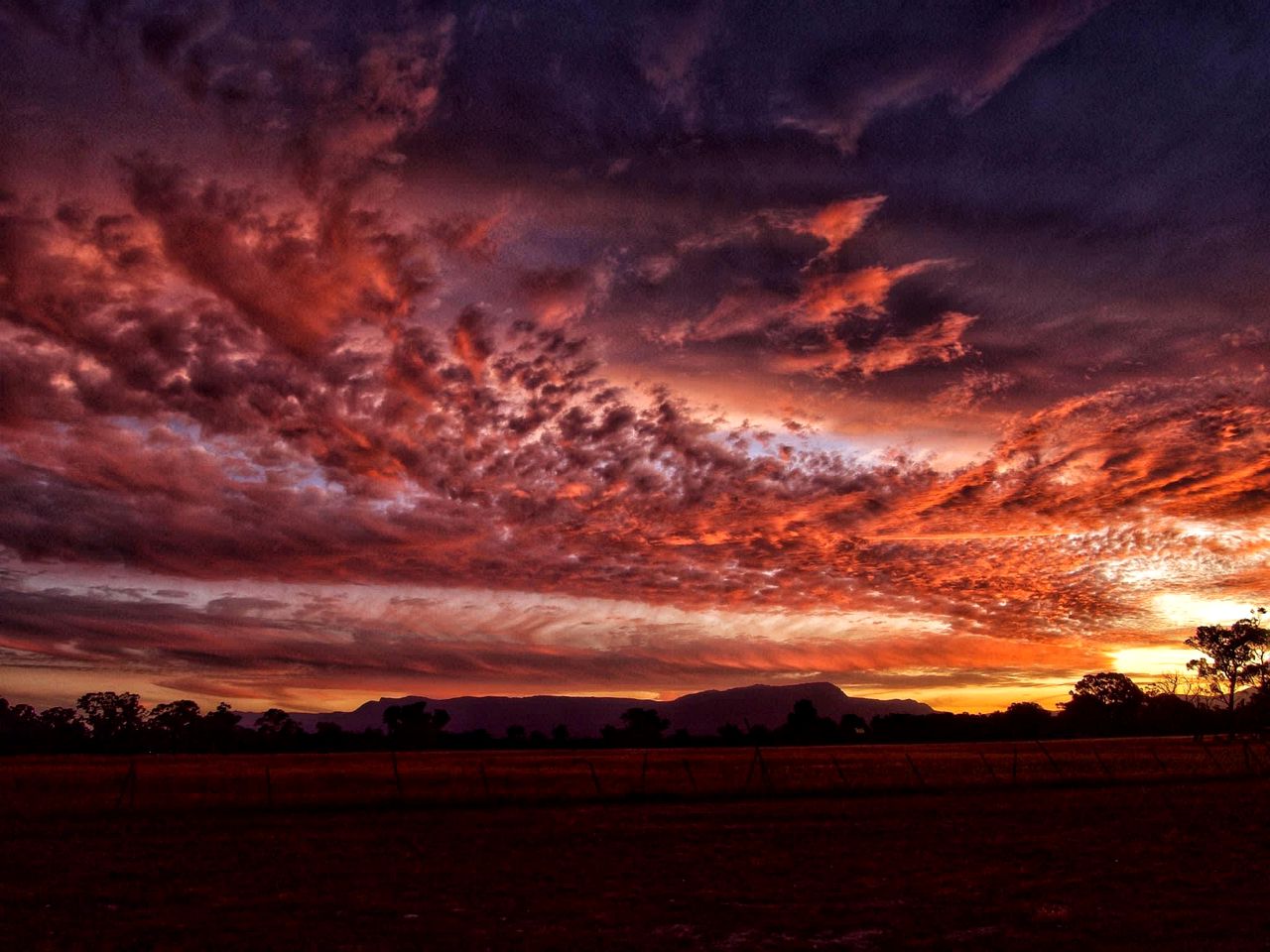 Cozy Tiny House Loft with Living Room Space and Game Room in Victoria, Australia
