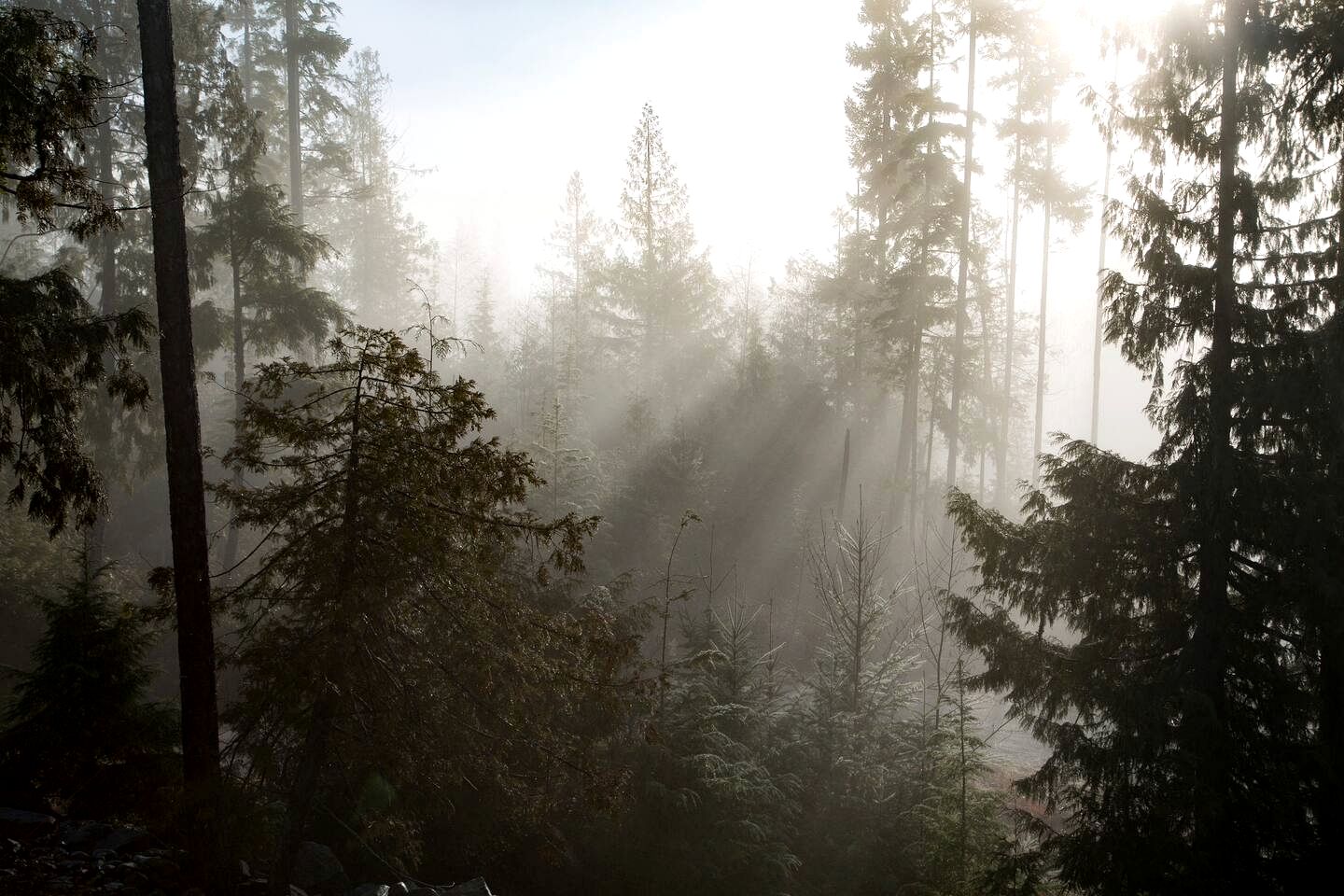 Upscale Mountain View Suite with Private Cedar Deck & Skylights Near the Ocean | Sunshine Coast Regional District, BC