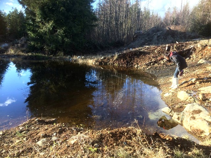 Cabins (Canada, Sunshine Coast Regional District, British Columbia)