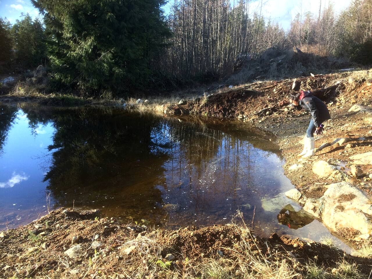 Upscale Mountain View Suite with Private Cedar Deck & Skylights Near the Ocean | Sunshine Coast Regional District, BC