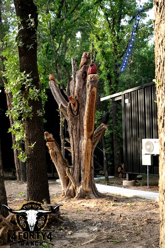 Cabins (United States of America, Alvord, Texas)