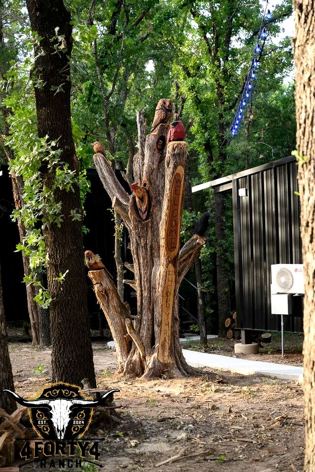 Bright Modern Treehouse with Pickleball Court Near LBJ Grasslands | Alvord, Texas