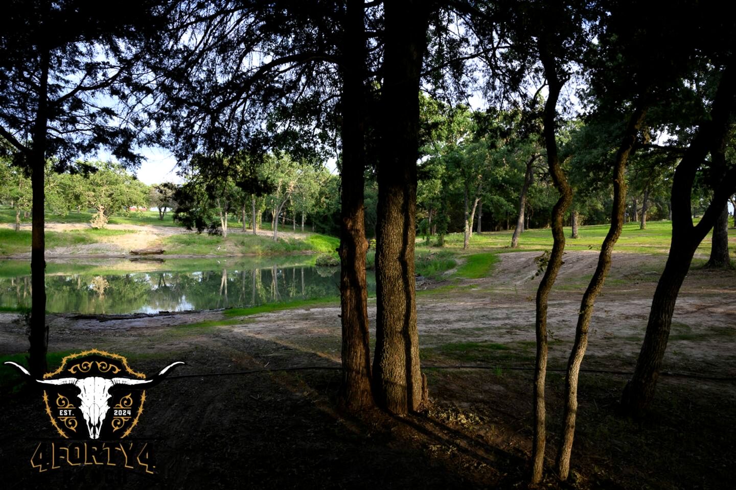 Bright Modern Treehouse with Pickleball Court Near LBJ Grasslands | Alvord, Texas