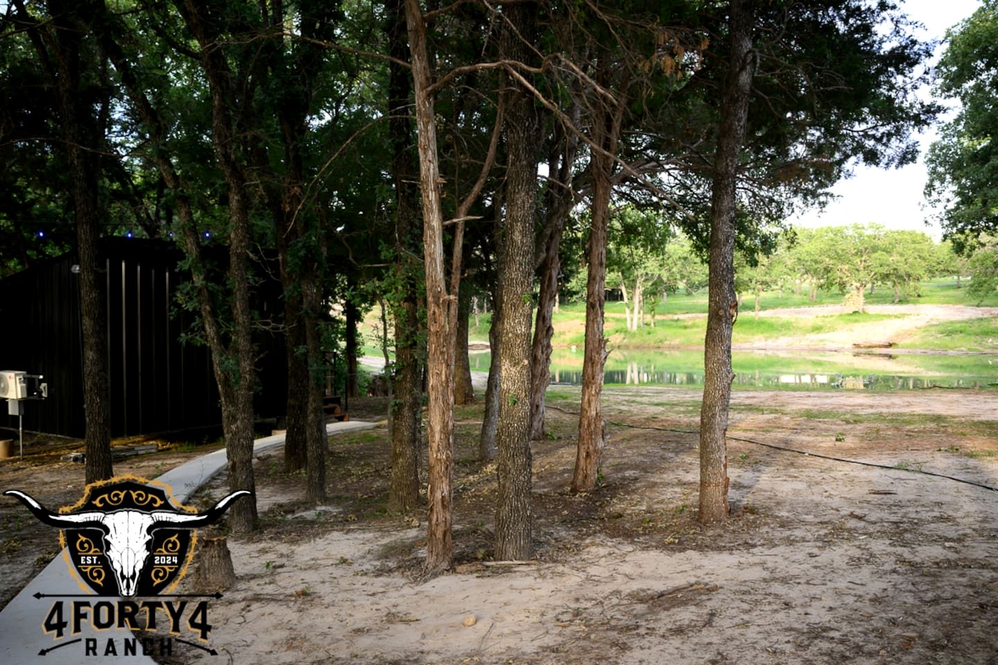 Bright Modern Treehouse with Pickleball Court Near LBJ Grasslands | Alvord, Texas