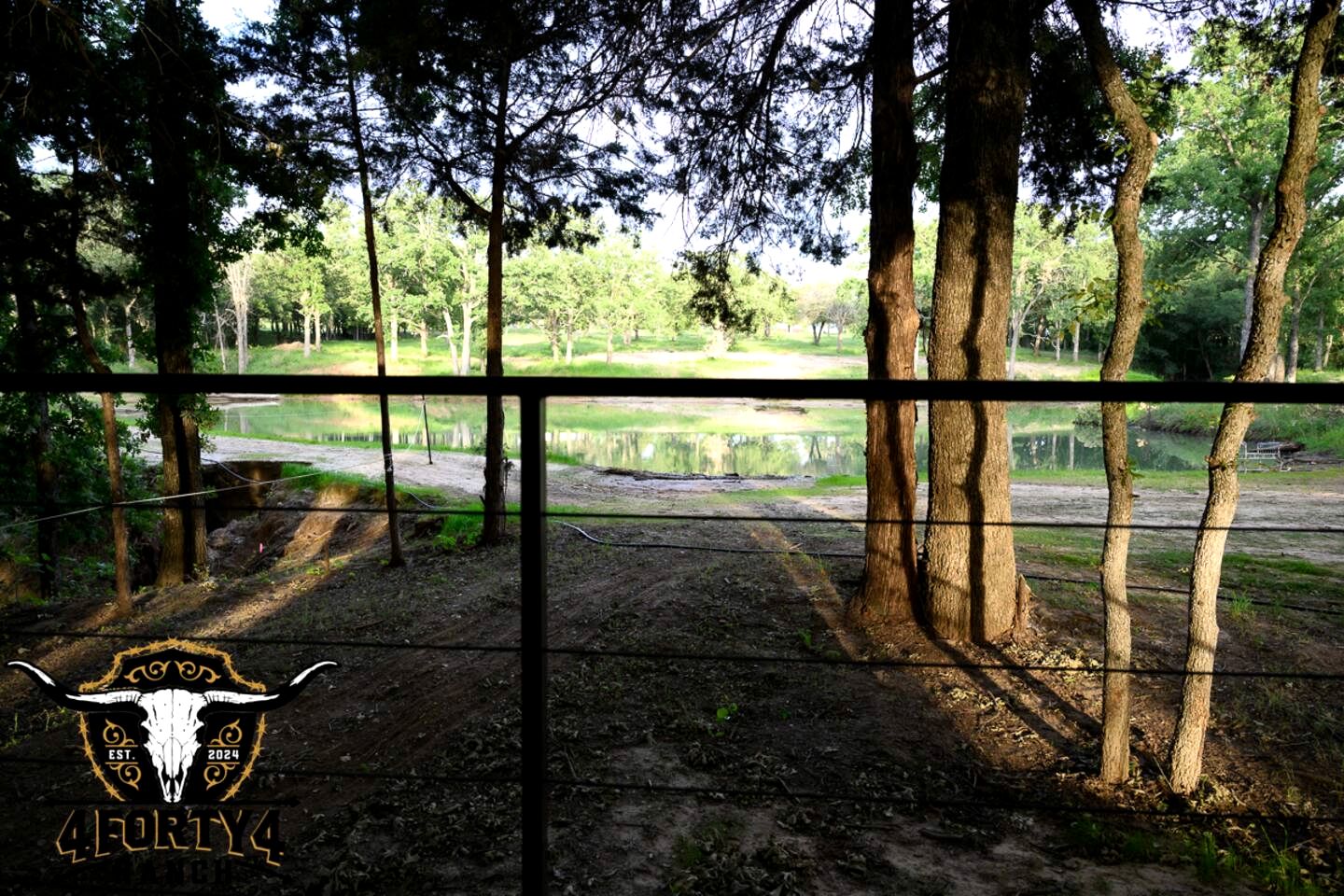 Bright Modern Treehouse with Pickleball Court Near LBJ Grasslands | Alvord, Texas