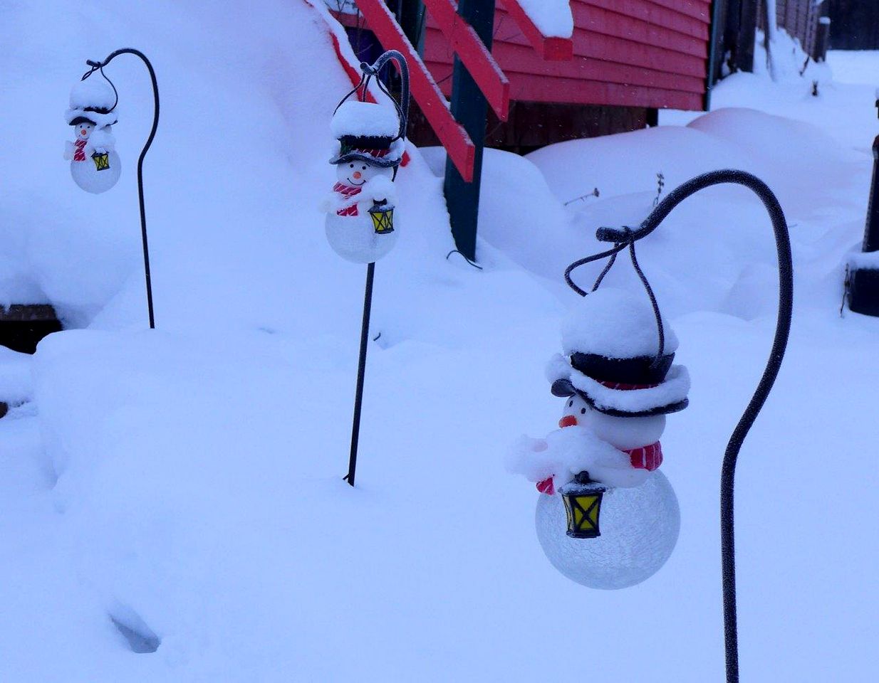 Bright & Spacious Cabin Rental in Mountains near Prince George, BC