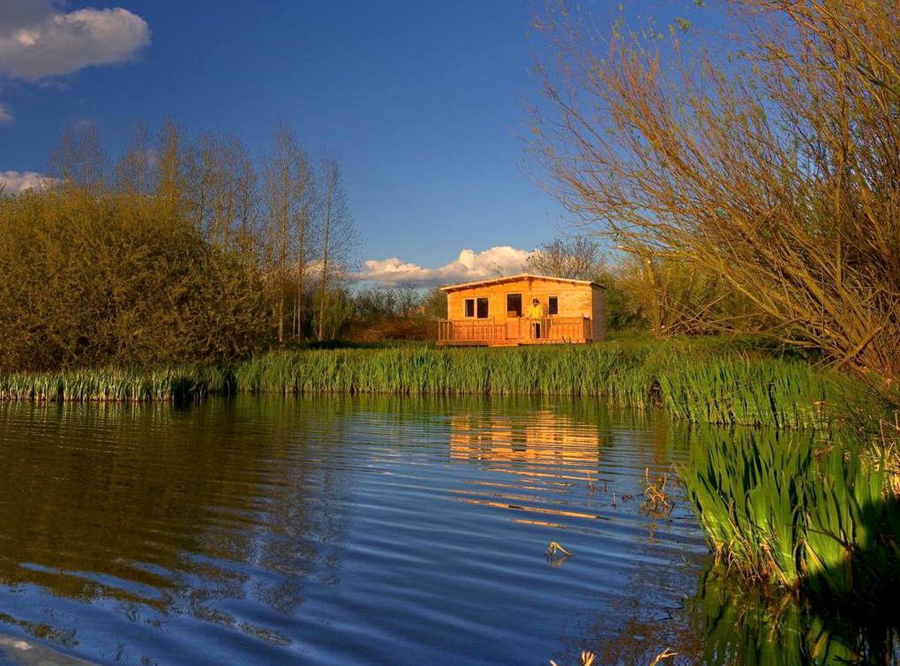 Rustic Camping Cabin in the Midlands, England