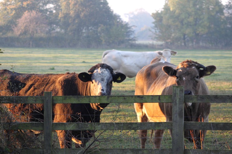 Cabins (Market Harborough, England, United Kingdom)