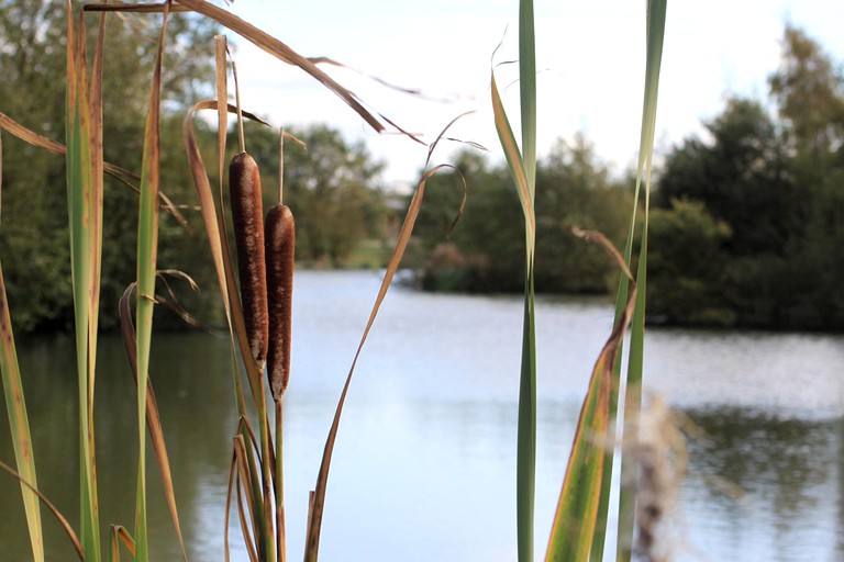 Cabins (Market Harborough, England, United Kingdom)