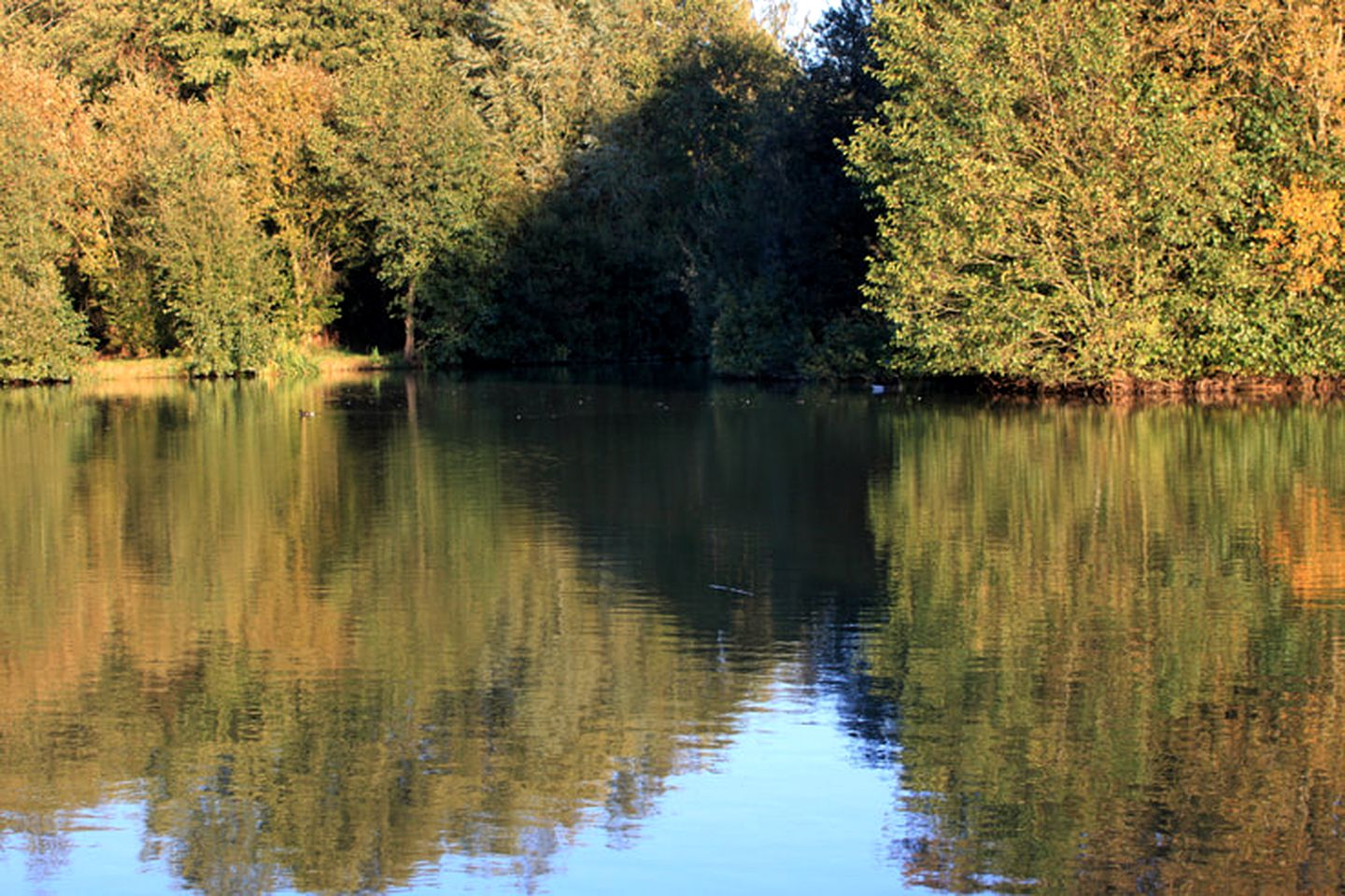 Pet-Friendly Cabin Rental by a Lake near Birmingham, England