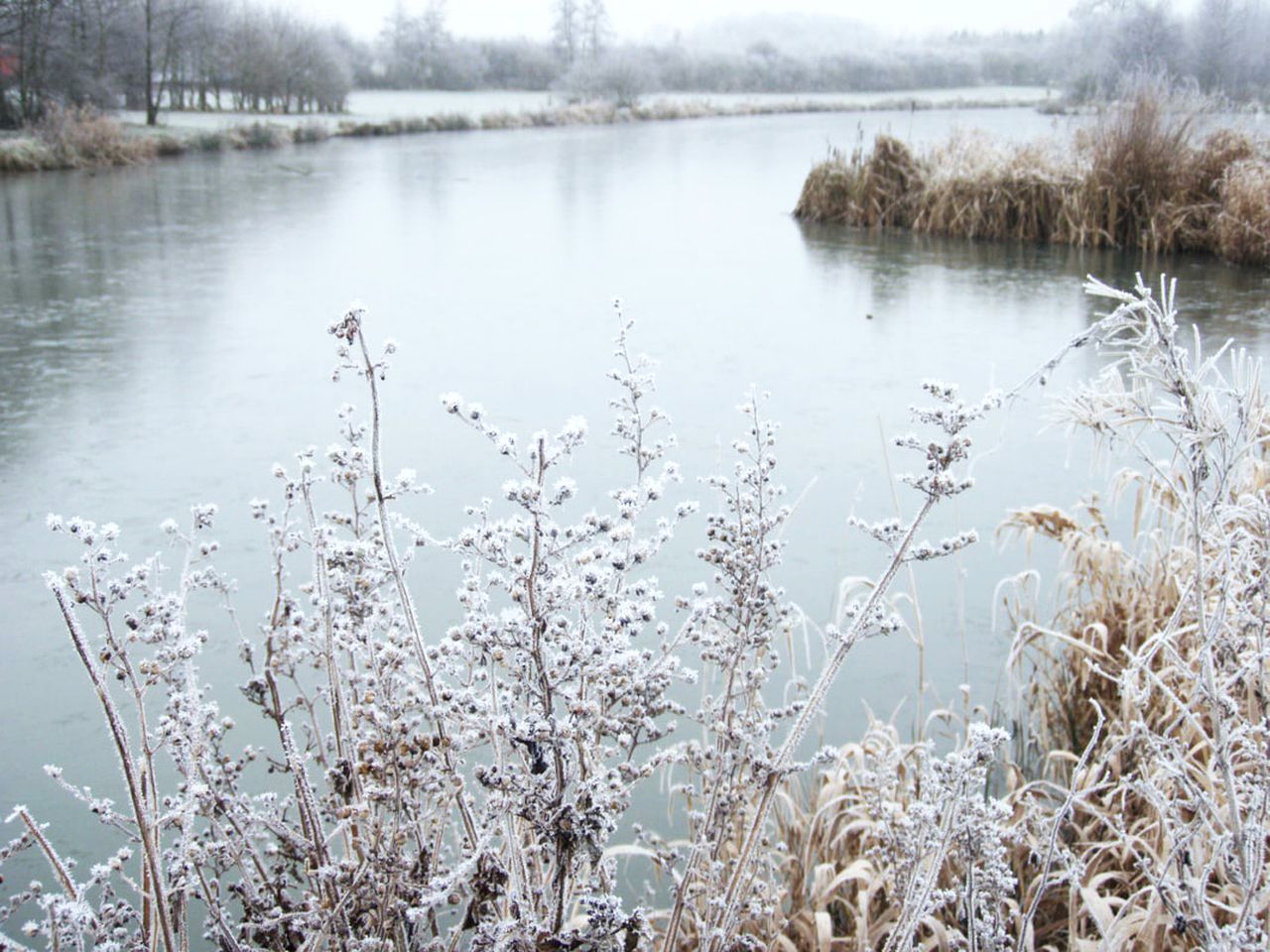 Pet-Friendly Cabin Rental by a Lake near Birmingham, England