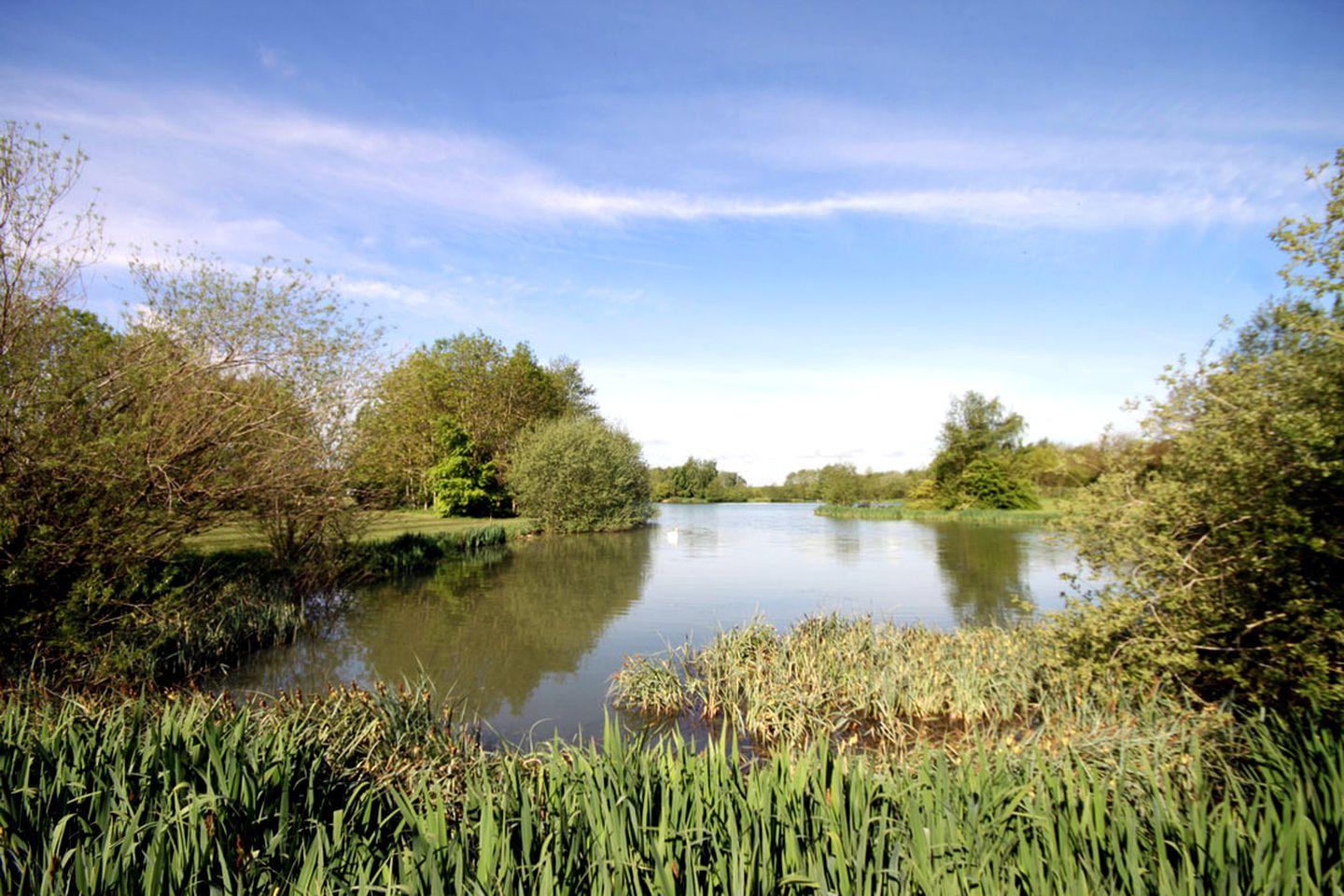 Pet-Friendly Cabin Rental by a Lake near Birmingham, England