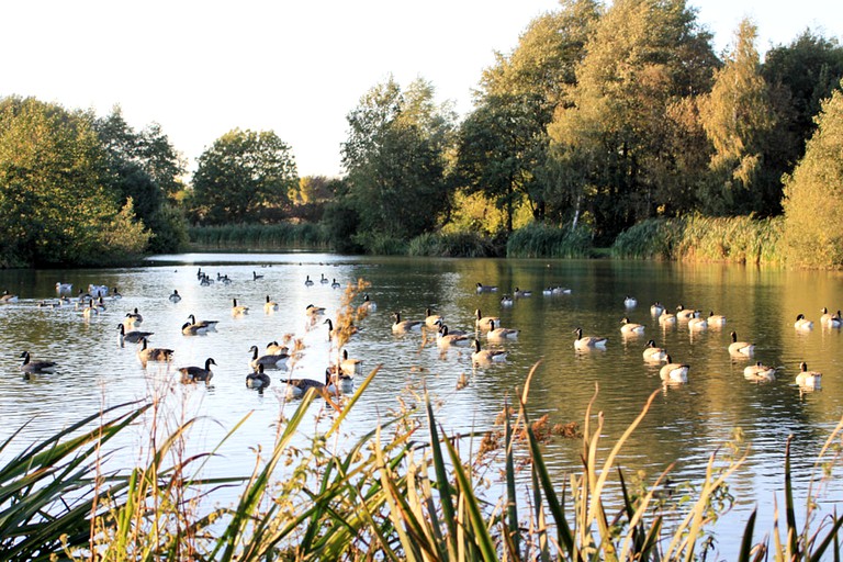 Cabins (Leicestershire, England, United Kingdom)