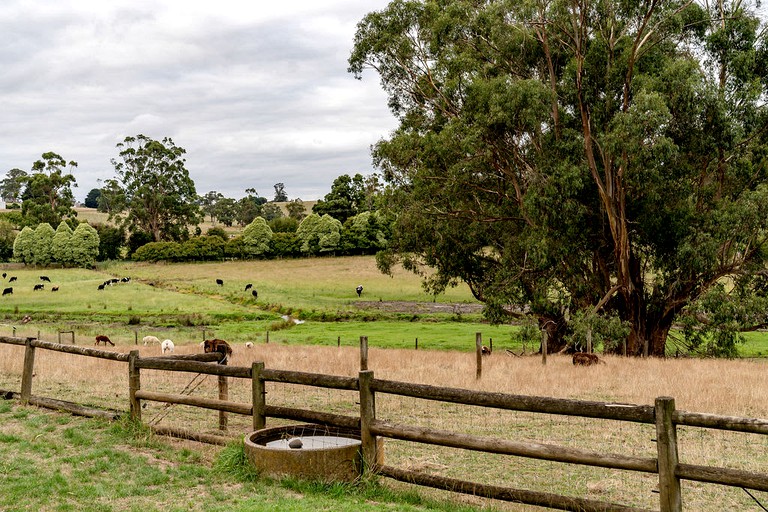 Vacation Rentals (Australia, Warragul, Victoria)