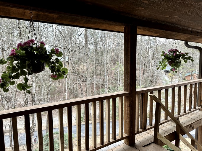 Cabins (United States of America, Sevierville, Tennessee)