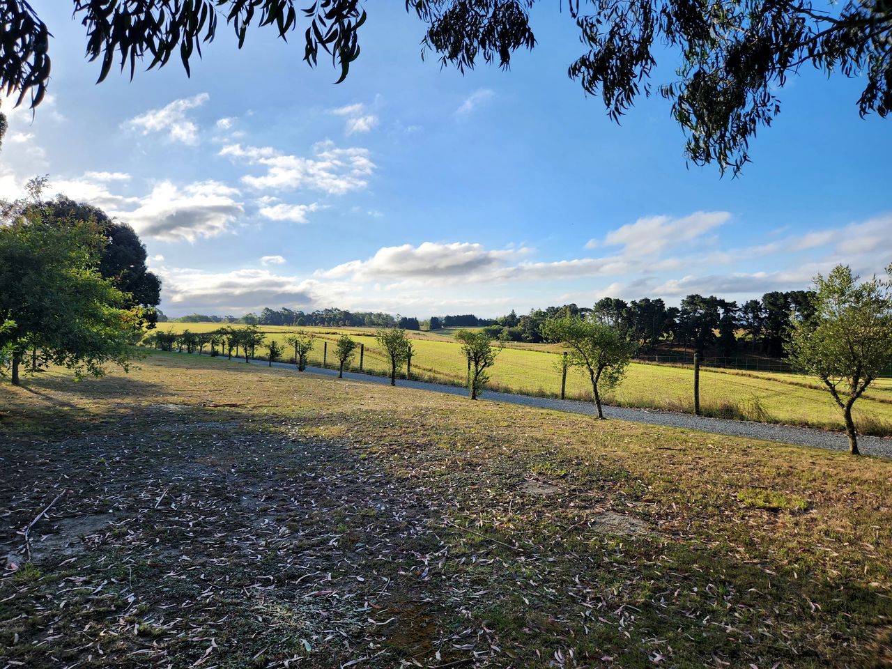 Calm Tiny House Surrounded by Precious Views and Nature in Canterbury, New Zealand