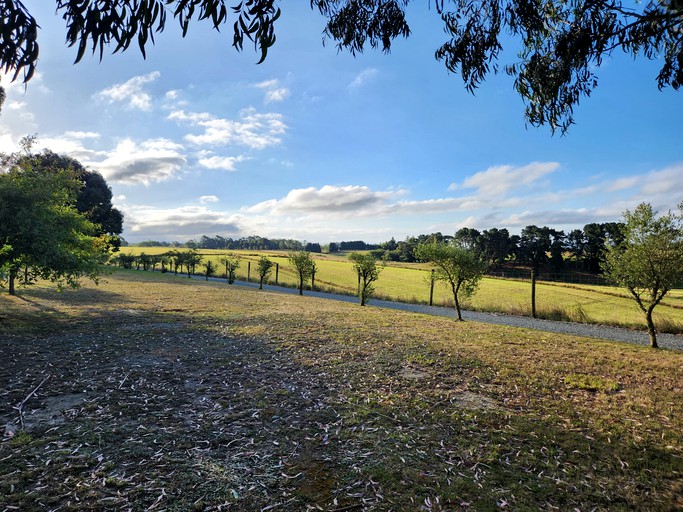 Tiny Houses (New Zealand, Claremont, Canterbury)